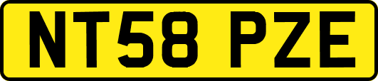 NT58PZE