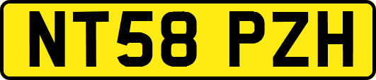 NT58PZH