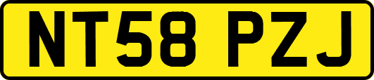 NT58PZJ