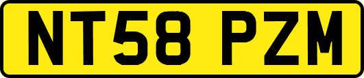 NT58PZM