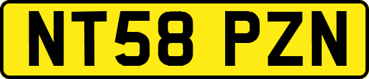 NT58PZN