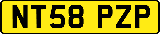NT58PZP