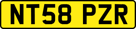 NT58PZR