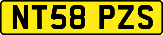 NT58PZS