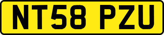 NT58PZU