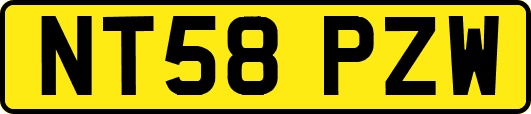 NT58PZW