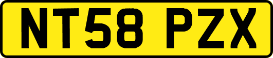 NT58PZX