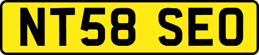 NT58SEO