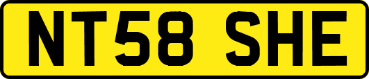 NT58SHE