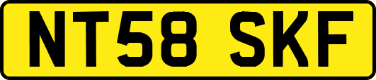 NT58SKF