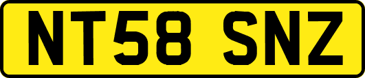 NT58SNZ