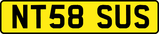 NT58SUS