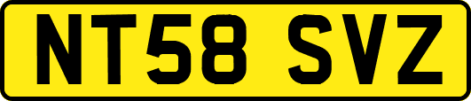 NT58SVZ