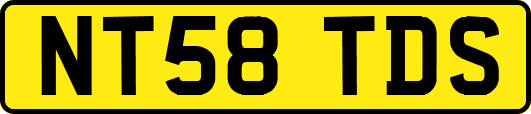 NT58TDS