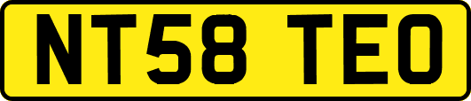 NT58TEO