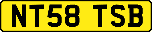NT58TSB