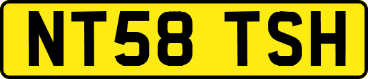 NT58TSH