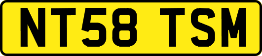 NT58TSM