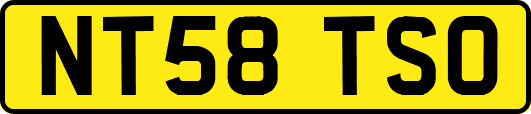 NT58TSO