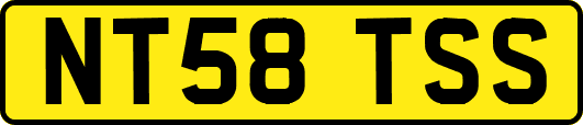 NT58TSS