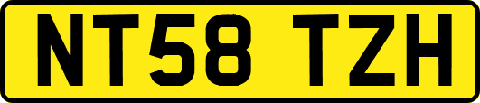 NT58TZH