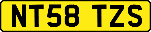 NT58TZS