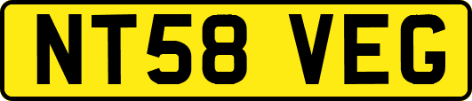 NT58VEG