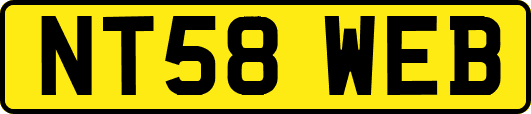 NT58WEB