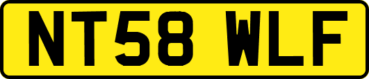 NT58WLF