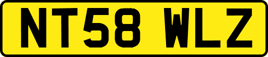 NT58WLZ
