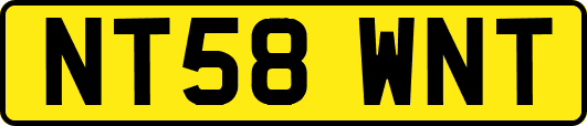 NT58WNT