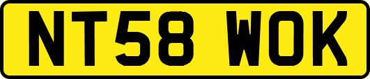 NT58WOK