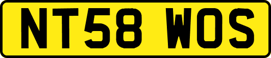 NT58WOS