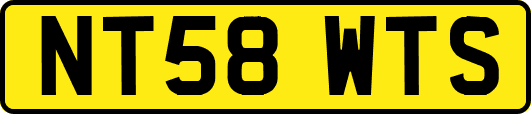 NT58WTS