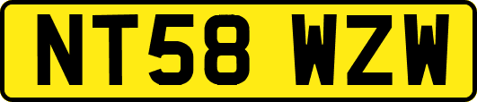 NT58WZW