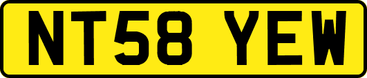 NT58YEW