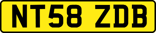 NT58ZDB