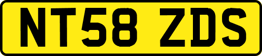 NT58ZDS
