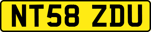NT58ZDU