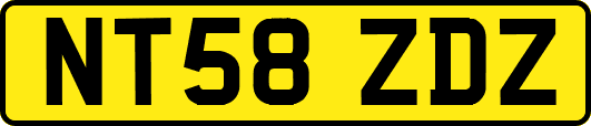 NT58ZDZ