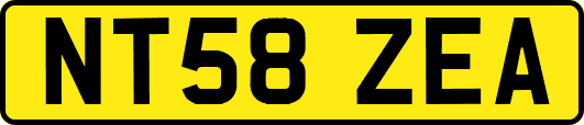NT58ZEA