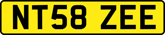 NT58ZEE