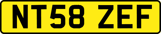 NT58ZEF