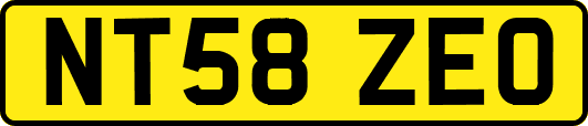 NT58ZEO