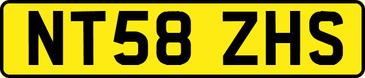 NT58ZHS