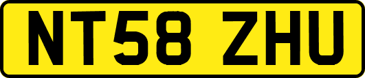 NT58ZHU