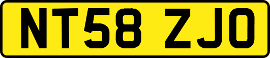 NT58ZJO