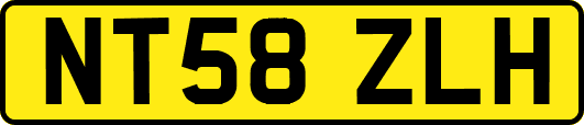 NT58ZLH