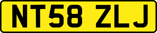 NT58ZLJ