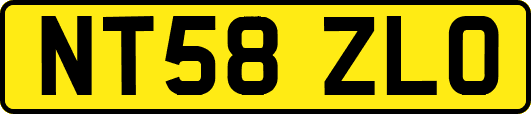 NT58ZLO